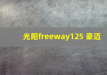 光阳freeway125 豪迈